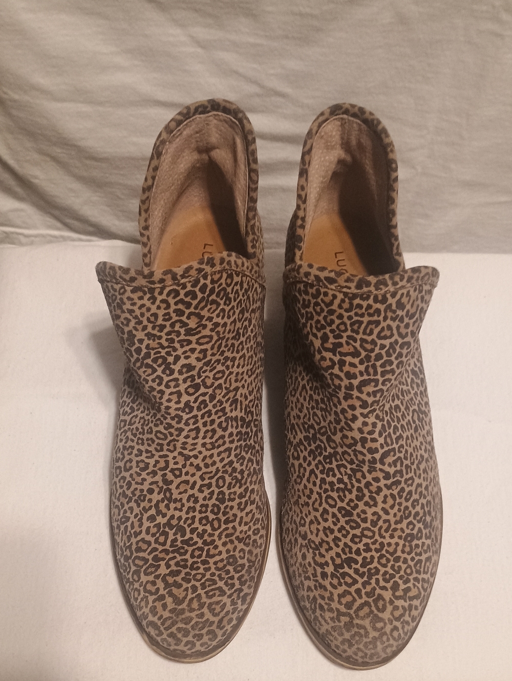 Lucky Brand Baley #2 Bootie